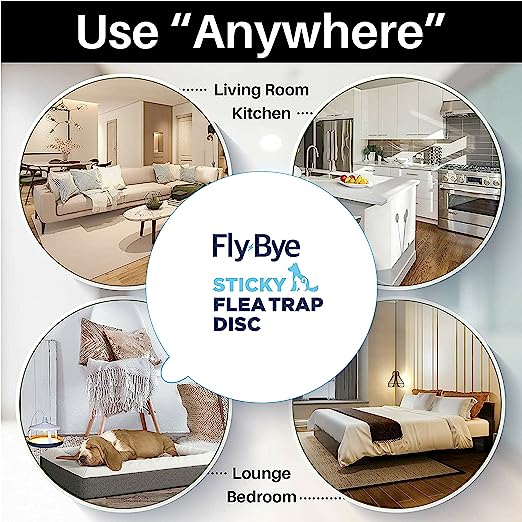 Fly-Bye Flea Trap Sticky Discs - Flea Traps for Home - Non-toxic, Unlike Some Flea Spray for the Home or Flea Bombs for the Home, Clear, 24 x Flea Trap Replacements Discs/Pads