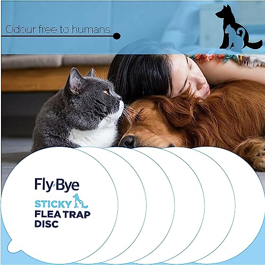 Fly-Bye Flea Trap Sticky Discs - Flea Traps for Home - Non-toxic, Unlike Some Flea Spray for the Home or Flea Bombs for the Home, Clear, 24 x Flea Trap Replacements Discs/Pads