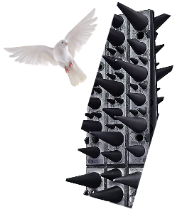 Fly-Bye Anti Bird Spikes - Huge 6m Coverage with 1300 Spikes - Pigeon Deterrent - Wall & Fence Spikes for Cats & Birds - Anti Pigeon Spikes - Upgraded Irregular Pattern Bird Spikes for Pigeons