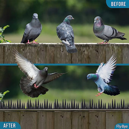 Fly-Bye Anti Bird Spikes - Huge 6m Coverage with 1300 Spikes - Pigeon Deterrent - Wall & Fence Spikes for Cats & Birds - Anti Pigeon Spikes - Upgraded Irregular Pattern Bird Spikes for Pigeons